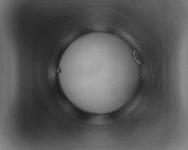 X0000100480072200806271211