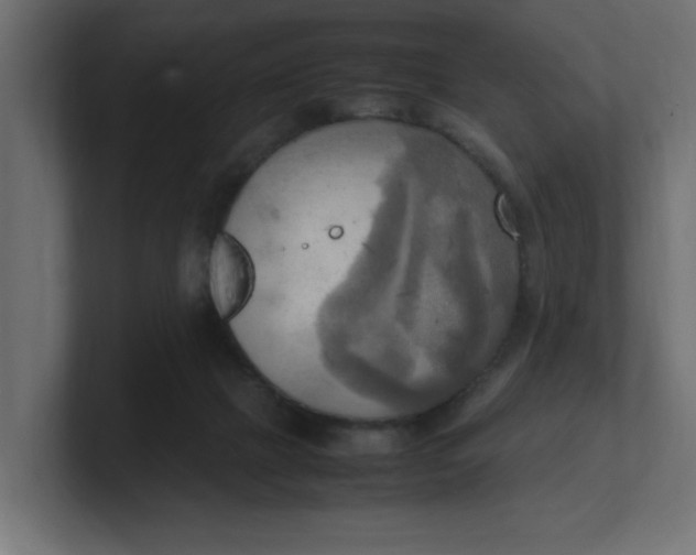 X0000100480073200806271211