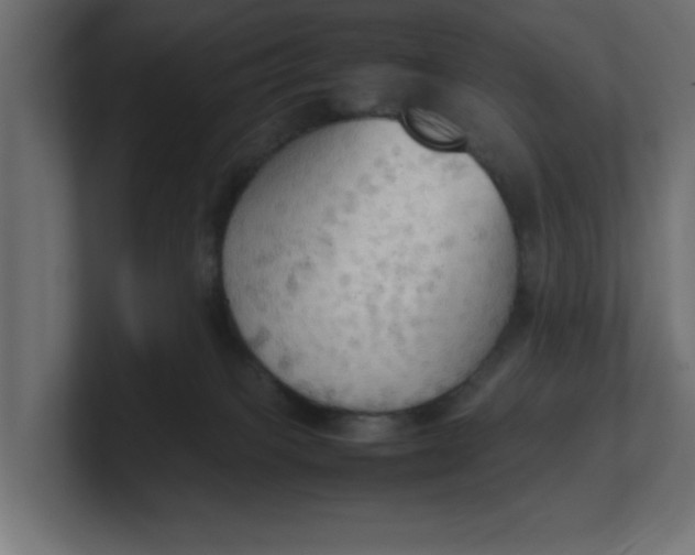 X0000100480085200806271211