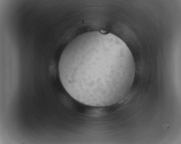 X0000100480086200806271211