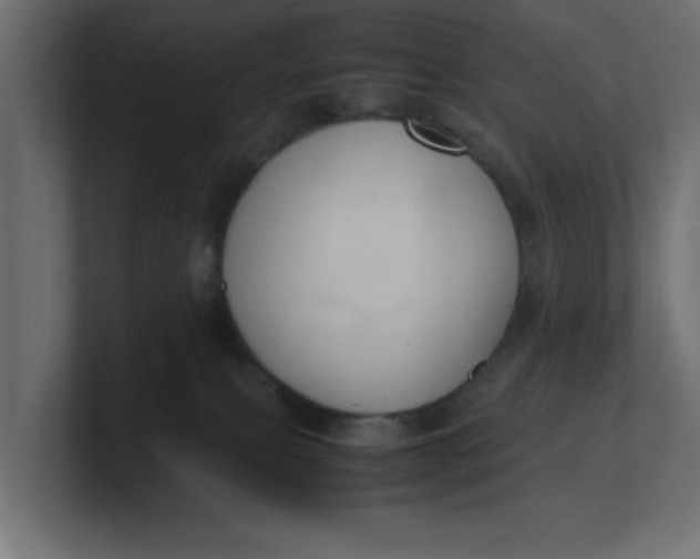 X0000100480087200806271211