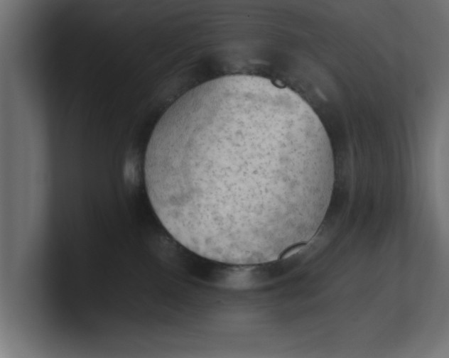 X0000100480090200806271211