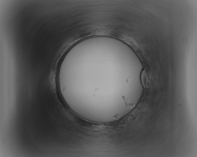 X0000100480098200806271211