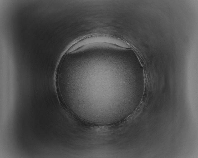 X0000100480100200806271211