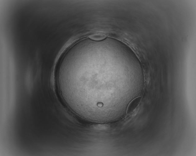 X0000100480102200806271211