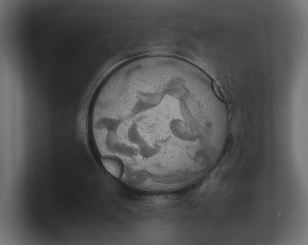 X0000100480103200806271210