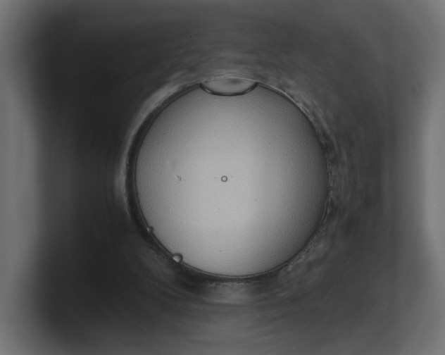 X0000100480104200806271210