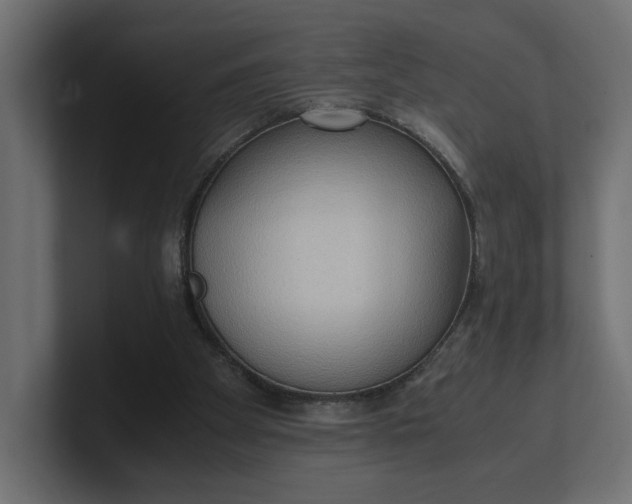 X0000100480105200806271210