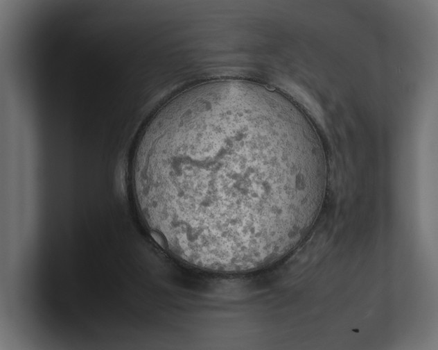 X0000100480107200806271210