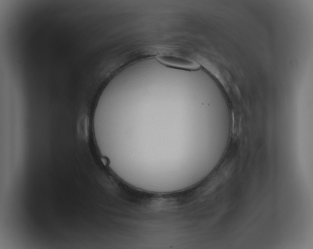 X0000100480109200806271210