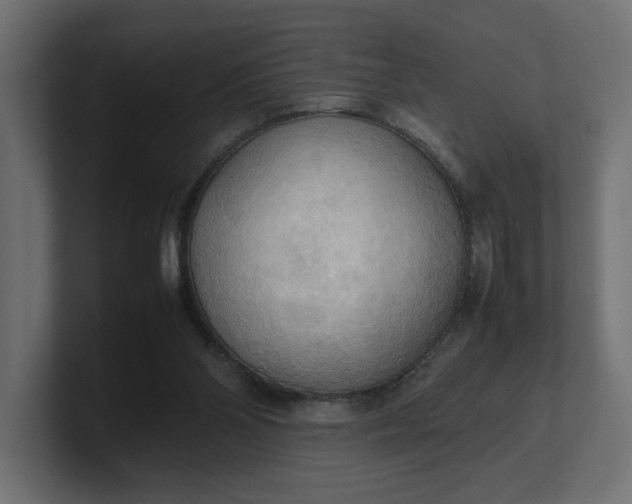 X0000100480110200806271210