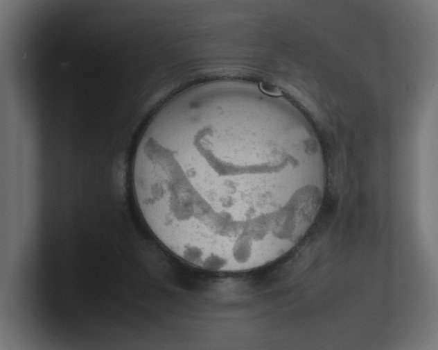 X0000100480111200806271210