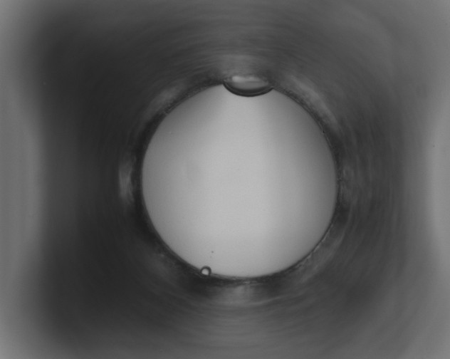 X0000100480116200806271210