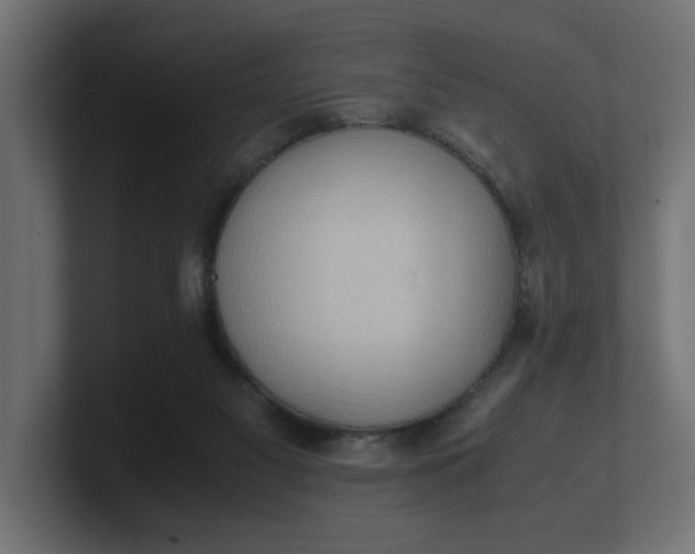 X0000100480117200806271210