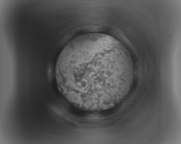 X0000100480119200806271210