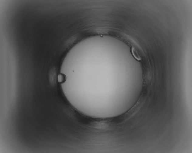 X0000100480120200806271210