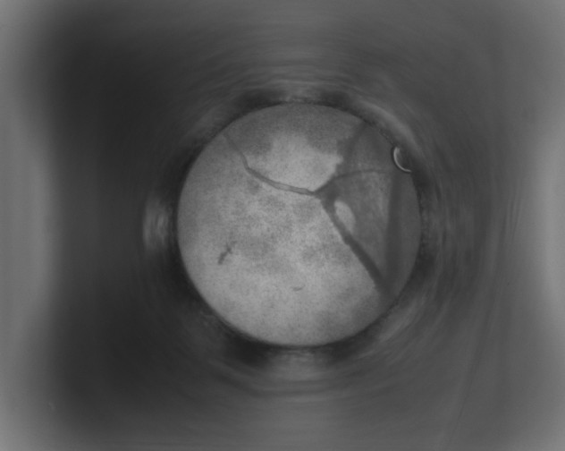 X0000100480123200806271210