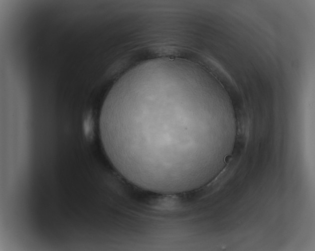 X0000100480124200806271210