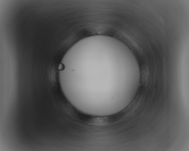 X0000100480126200806271210