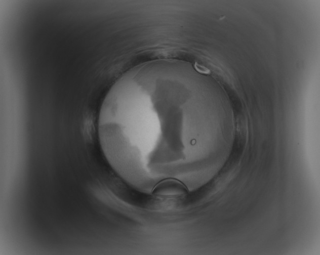 X0000100480127200806271210