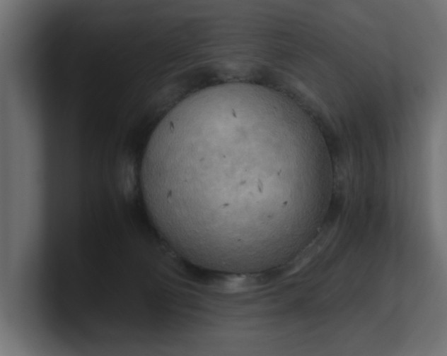 X0000100480130200806271210