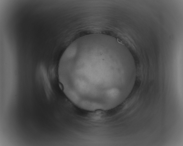 X0000100480131200806271210