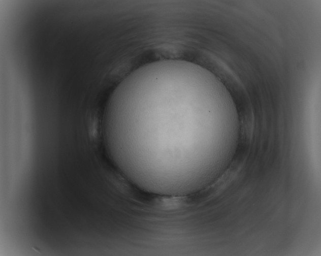 X0000100480134200806271210