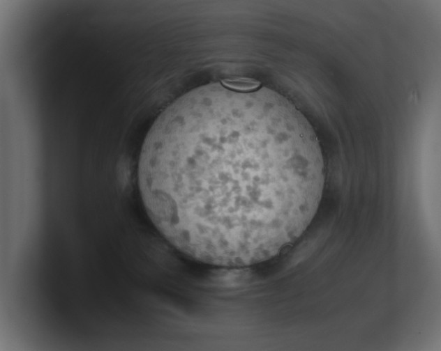 X0000100480135200806271210