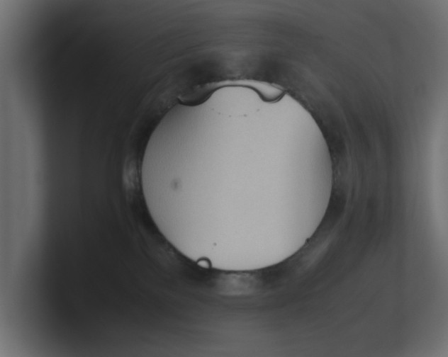 X0000100480137200806271210