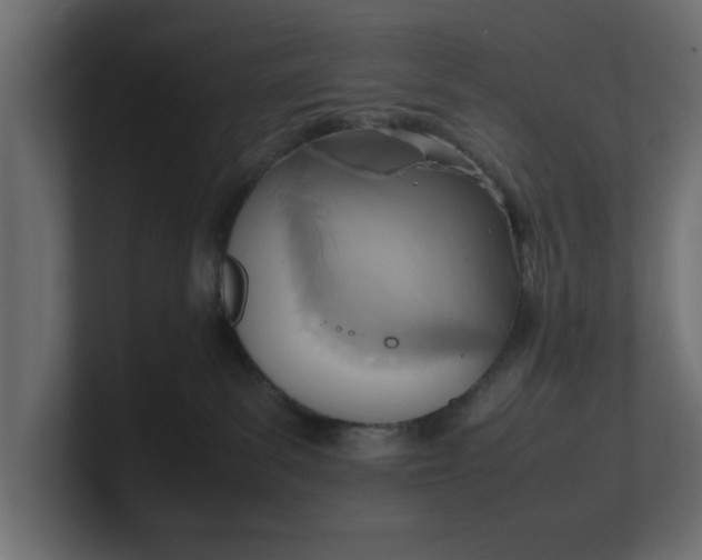 X0000100480139200806271210