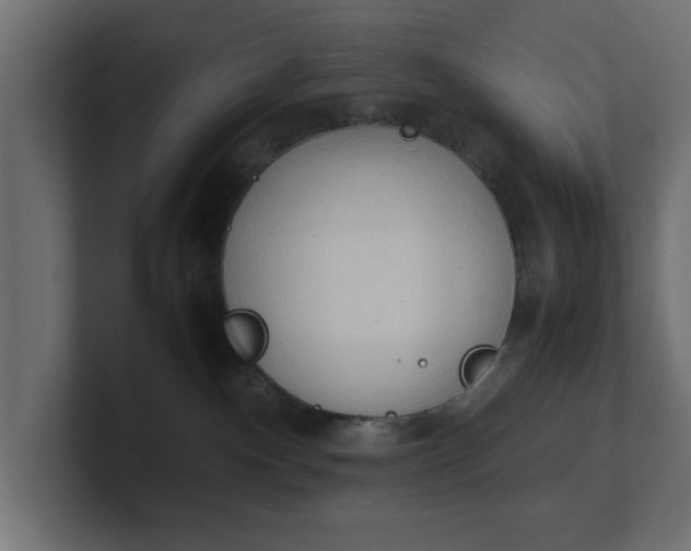 X0000100480140200806271210