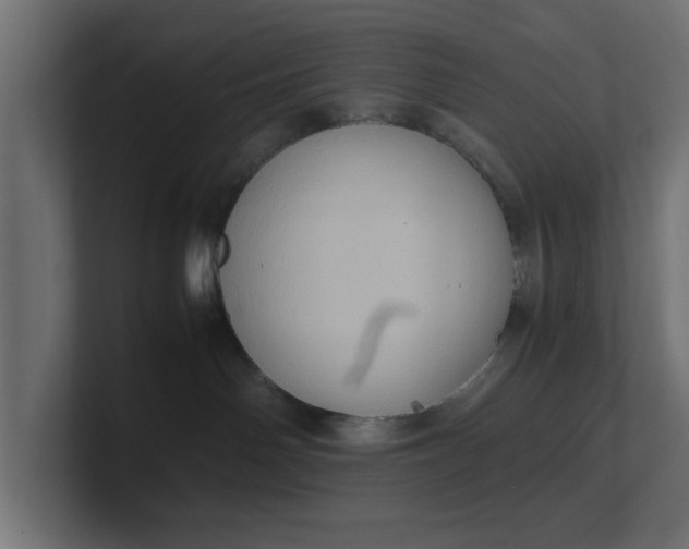 X0000100480142200806271210