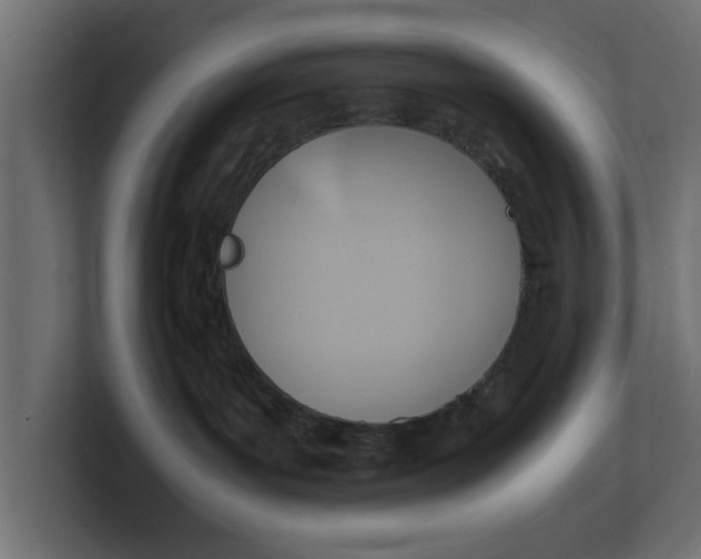 X0000100480143200806271210