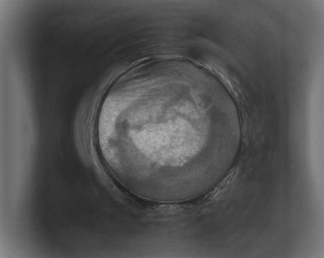 X0000100480145200806271209