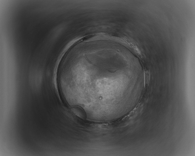 X0000100480147200806271209