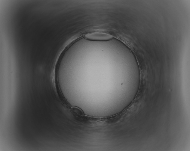 X0000100480148200806271209