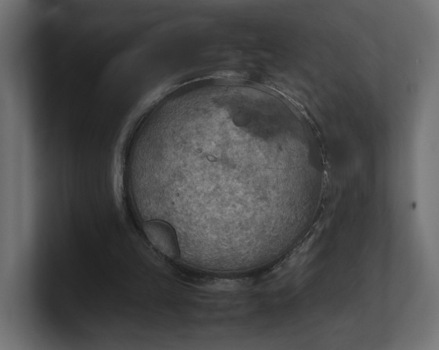 X0000100480149200806271209