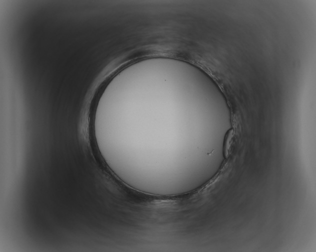 X0000100480150200806271209