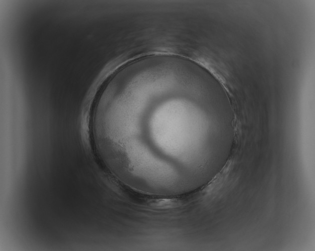 X0000100480151200806271209