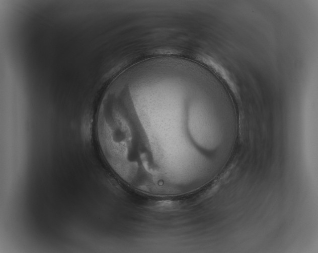 X0000100480153200806271209