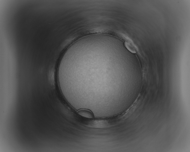 X0000100480154200806271209