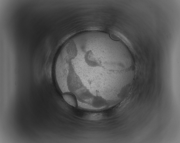 X0000100480155200806271209