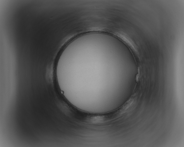 X0000100480156200806271209