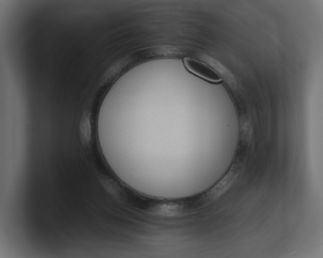 X0000100480158200806271209