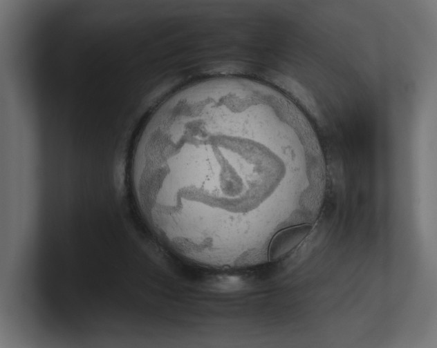 X0000100480159200806271209