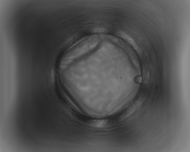 X0000100480161200806271210