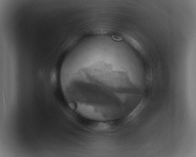 X0000100480166200806271210