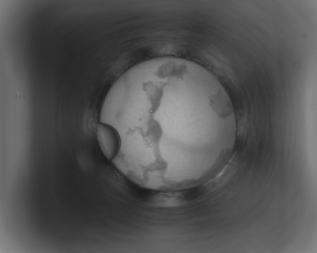 X0000100480179200806271210