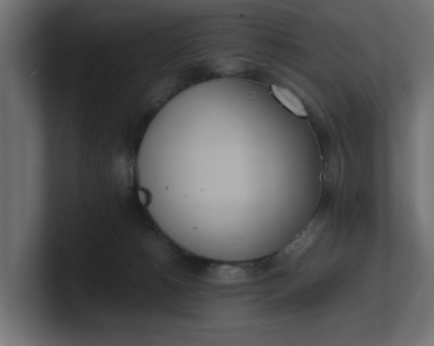 X0000100480180200806271210