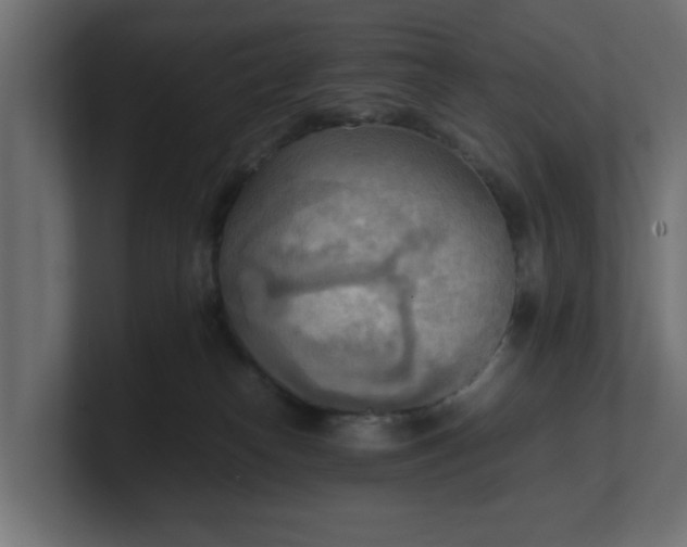 X0000100480182200806271210